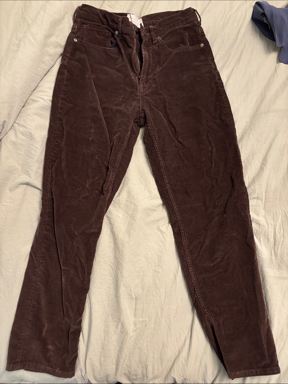 Women’s everlane brown corduroy fall jeans pants branded size 28 like new